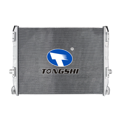 适用于SCANIA?3-SERIES?T?113