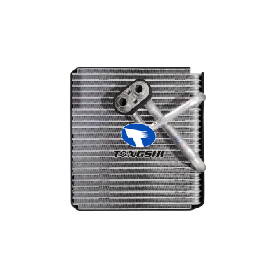 适用于??现代伊兰特?WT?2008??蒸发器