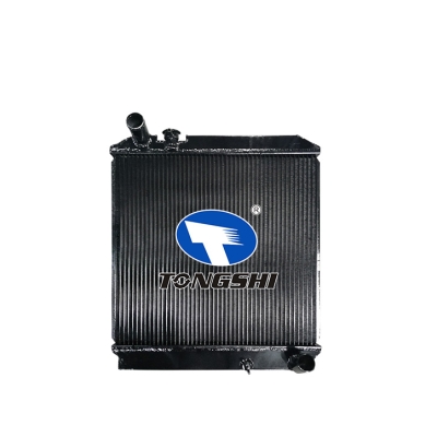 适用于ISUZU?ELT?00-?MT散热器