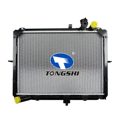 适用于PREGIO 2.5D 97-00 MT散热器