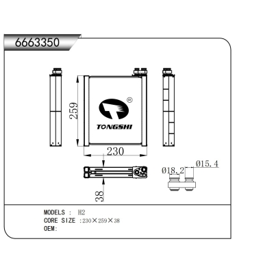 适用于  H2  蒸发器