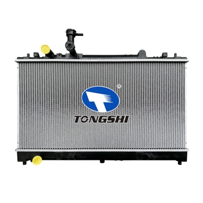 适用于M6 (GG) 1.8/2.0/2.3 02-07 MT散热器