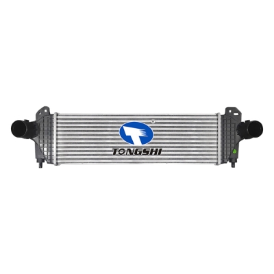 适用于?依维柯?DAILY?V?Dumptruck???35S21DKP?11-14??中冷器