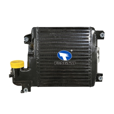 适用于??VIGO?CHAMP?12-?中冷器